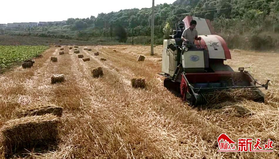 downloadjpg (21).jpg