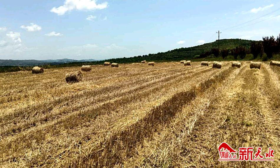 downloadjpg (19).jpg