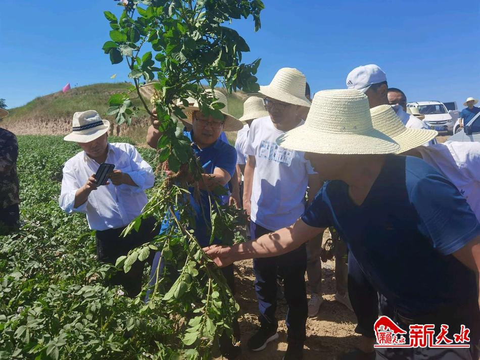 downloadjpg (30).jpg