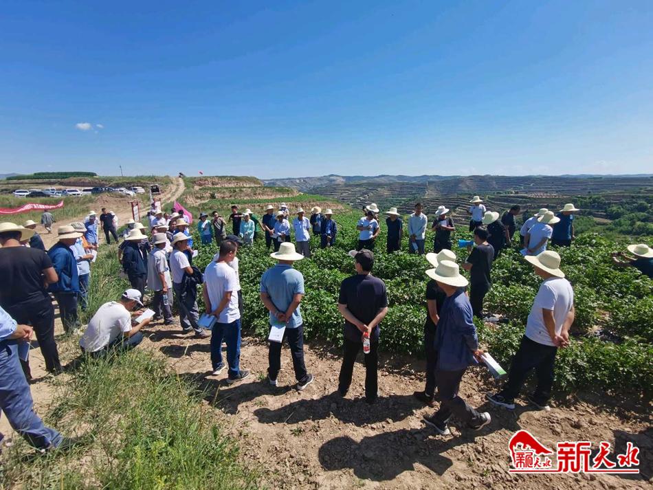 downloadjpg (29).jpg