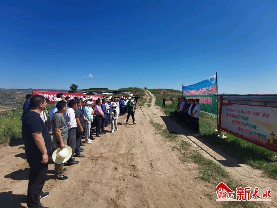 downloadjpg (27).jpg