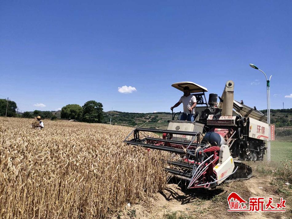 downloadjpg (41).jpg