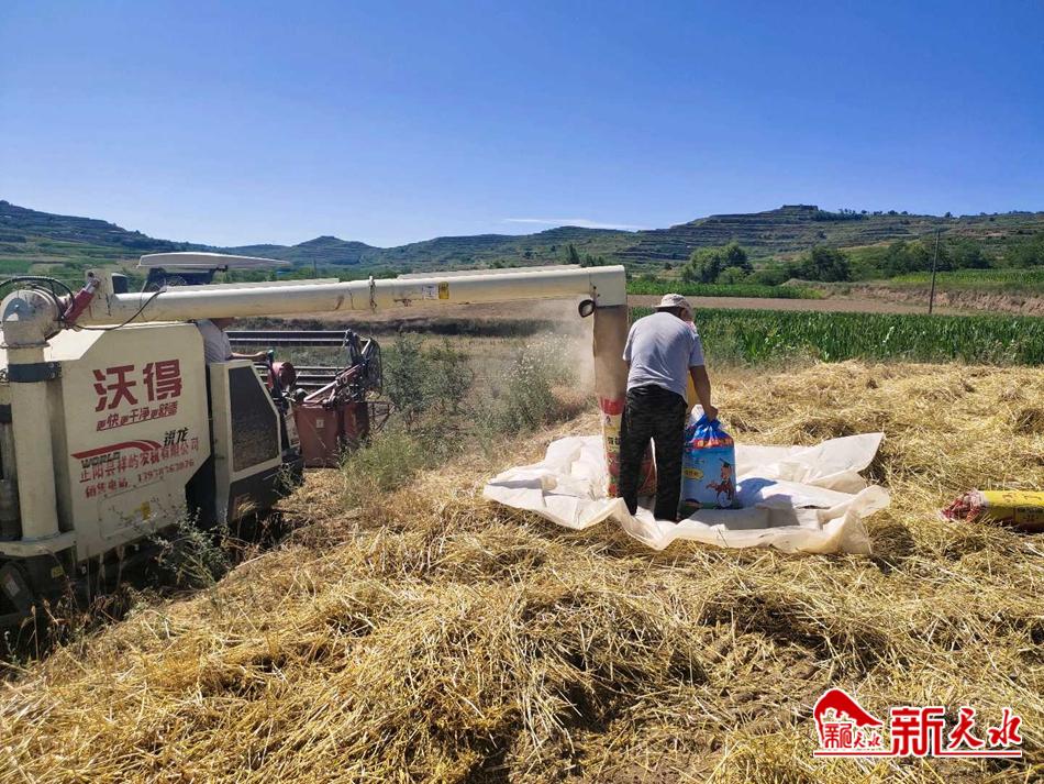 downloadjpg (37).jpg