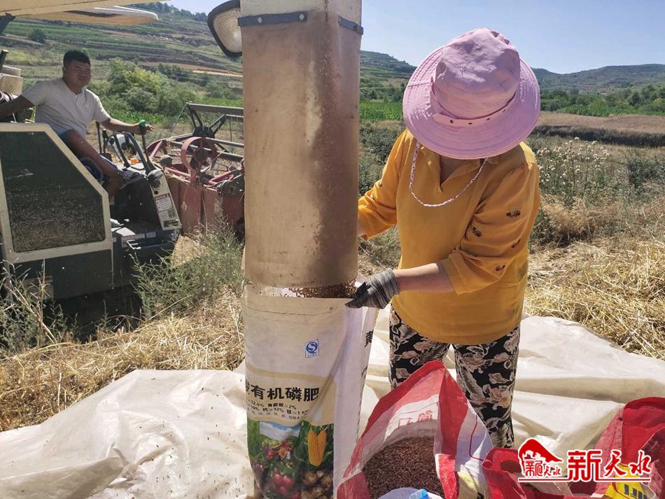 downloadjpg (40).jpg