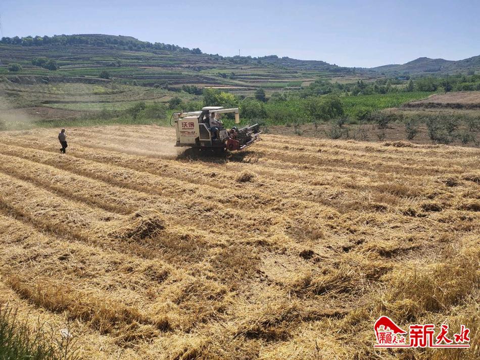 downloadjpg (39).jpg