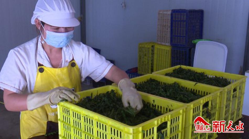 downloadjpg (43).jpg