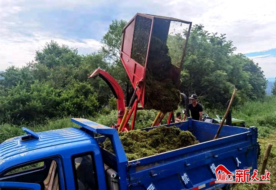 downloadjpg (29).jpg