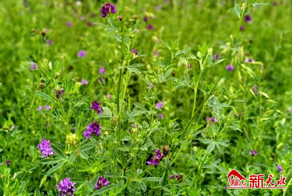 downloadjpg (25).jpg