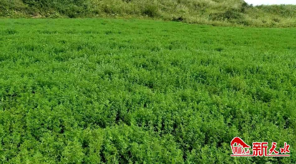 downloadjpg (26).jpg