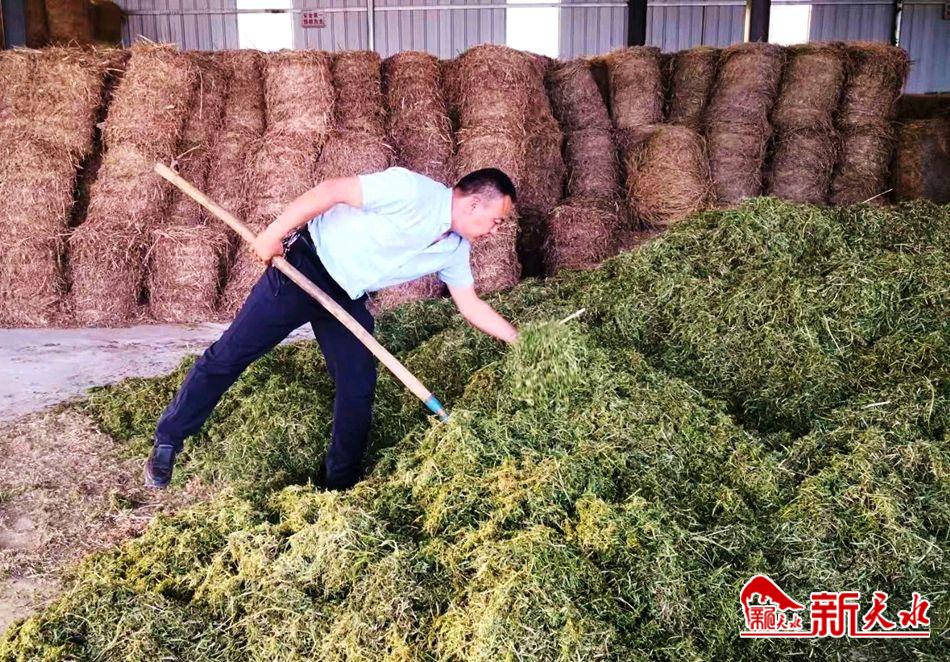 downloadjpg (27).jpg