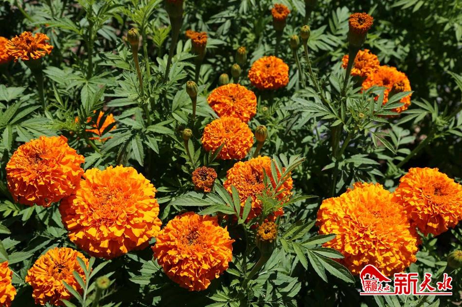 downloadjpg (28).jpg