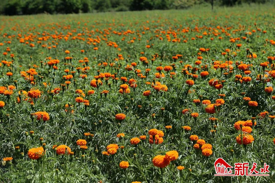 downloadjpg (34).jpg