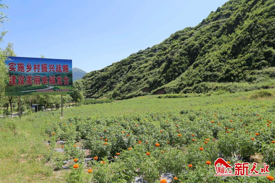 downloadjpg (30).jpg