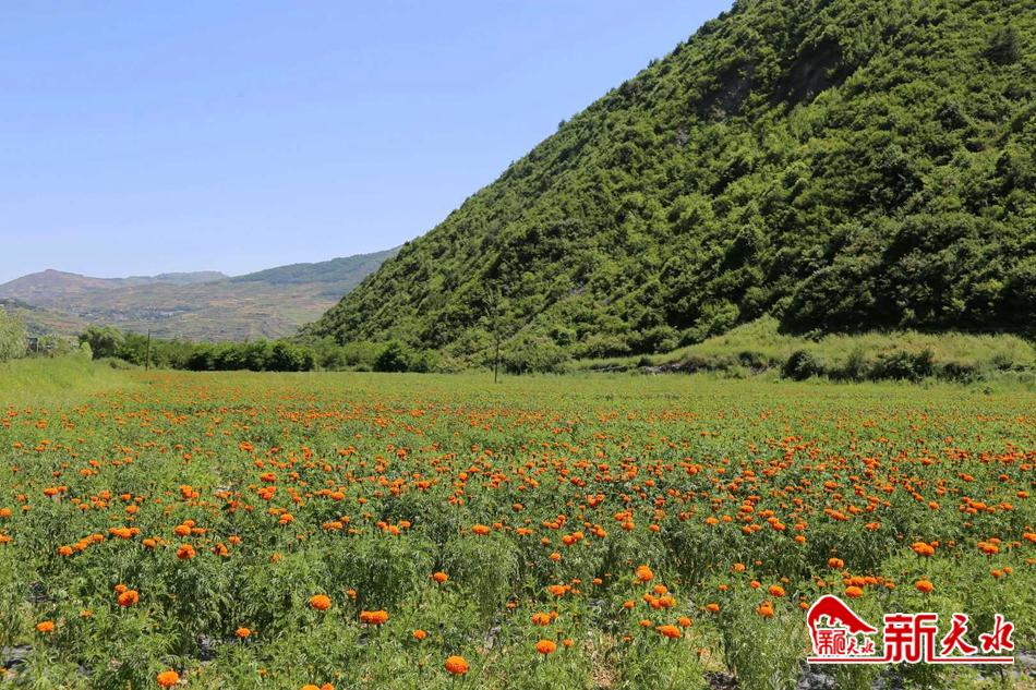 downloadjpg (33).jpg