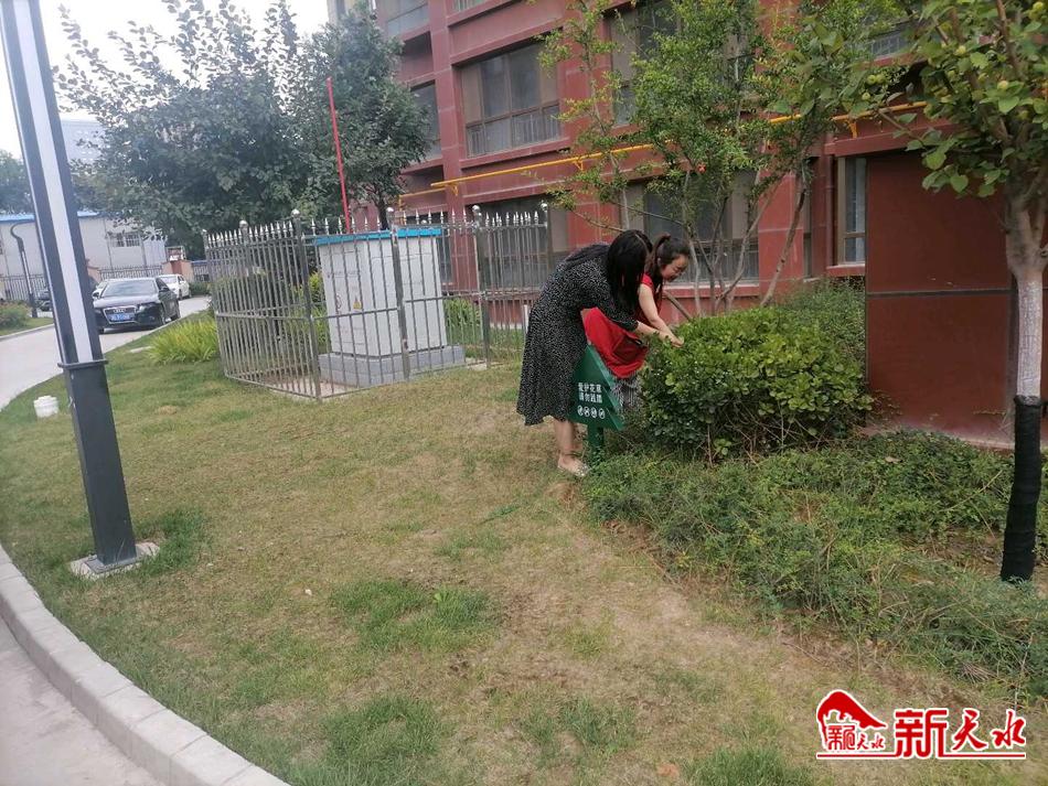 downloadjpg (37).jpg