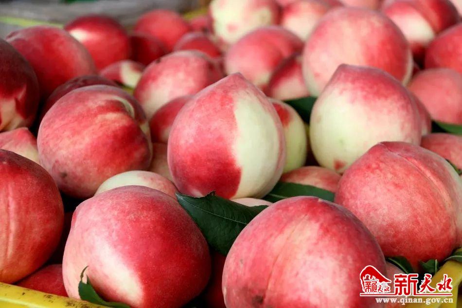 downloadjpg (47).jpg downloadjpg (47).jpg