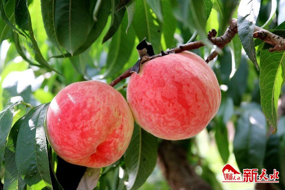 downloadjpg (48).jpg downloadjpg (48).jpg