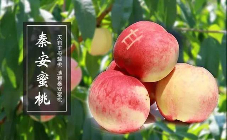 downloadjpg (46).jpg downloadjpg (46).jpg