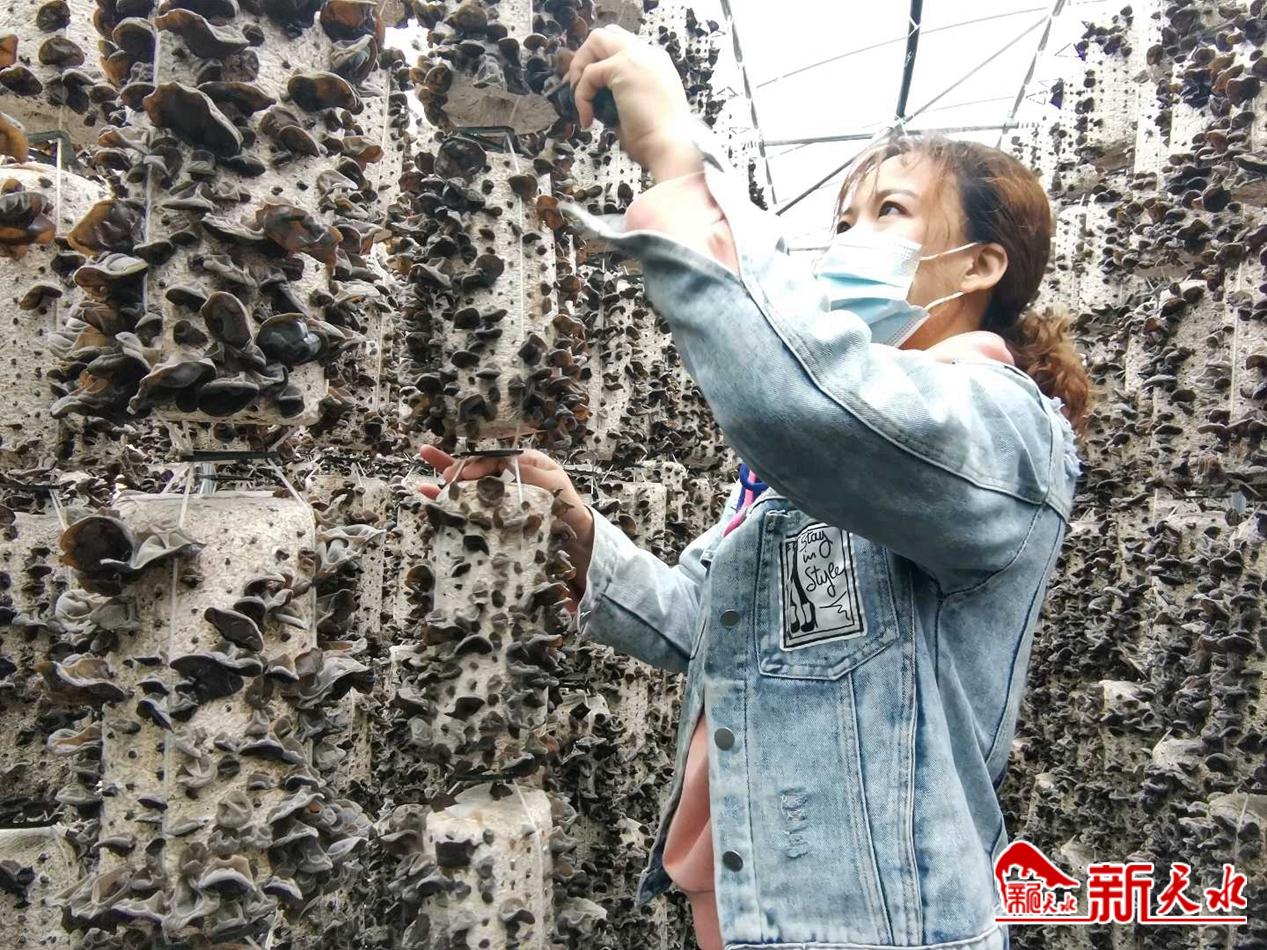 downloadjpg (13).jpg