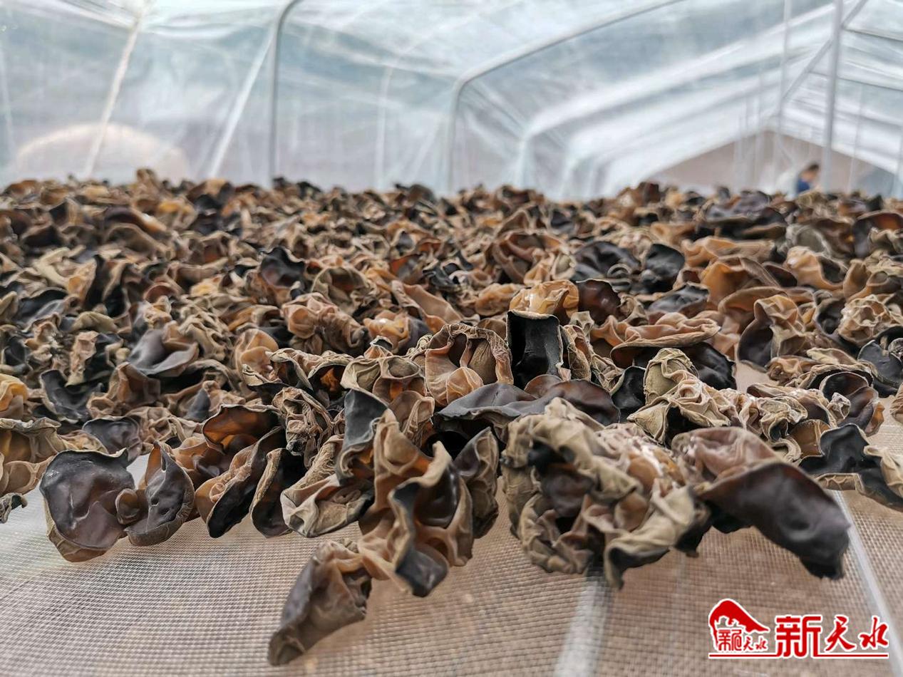 downloadjpg (14).jpg