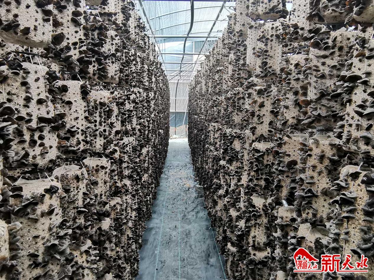 downloadjpg (16).jpg