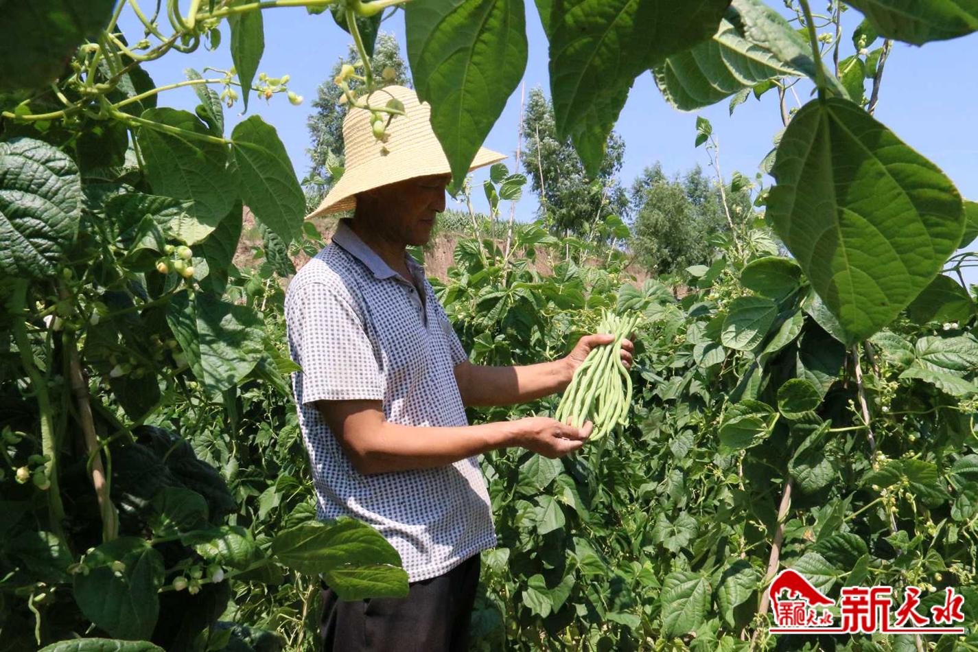 downloadjpg (25).jpg