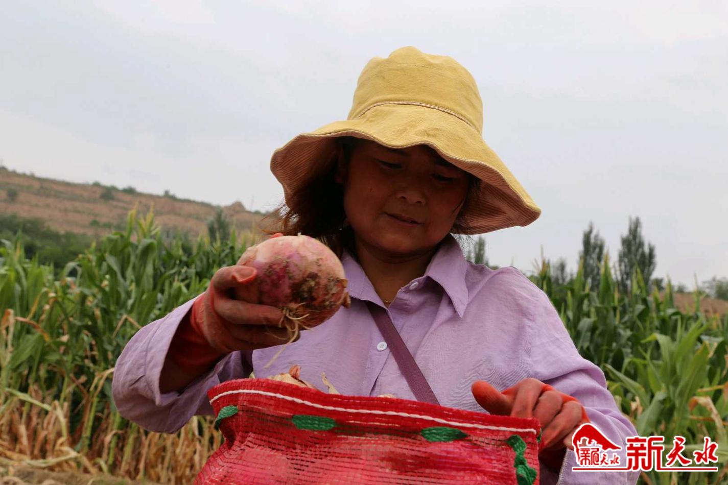 downloadjpg (22).jpg