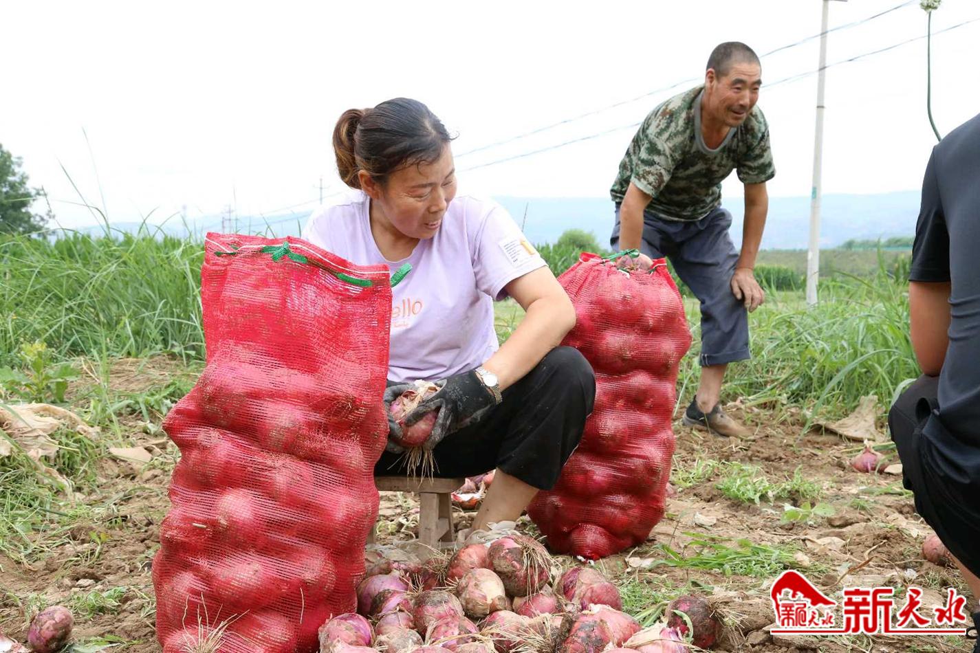 downloadjpg (20).jpg