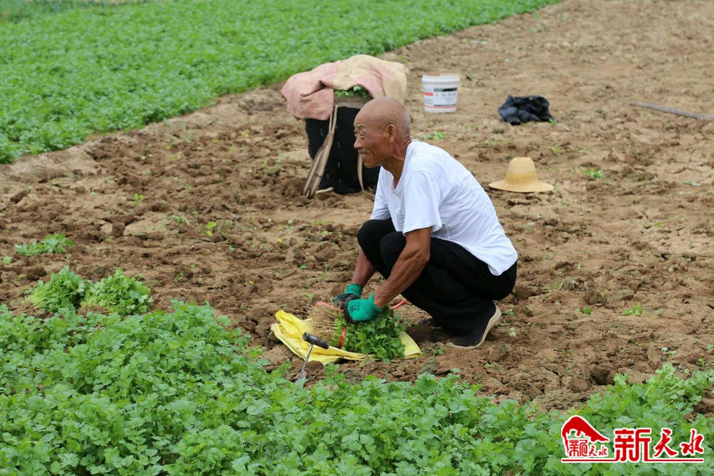 downloadjpg (21).jpg