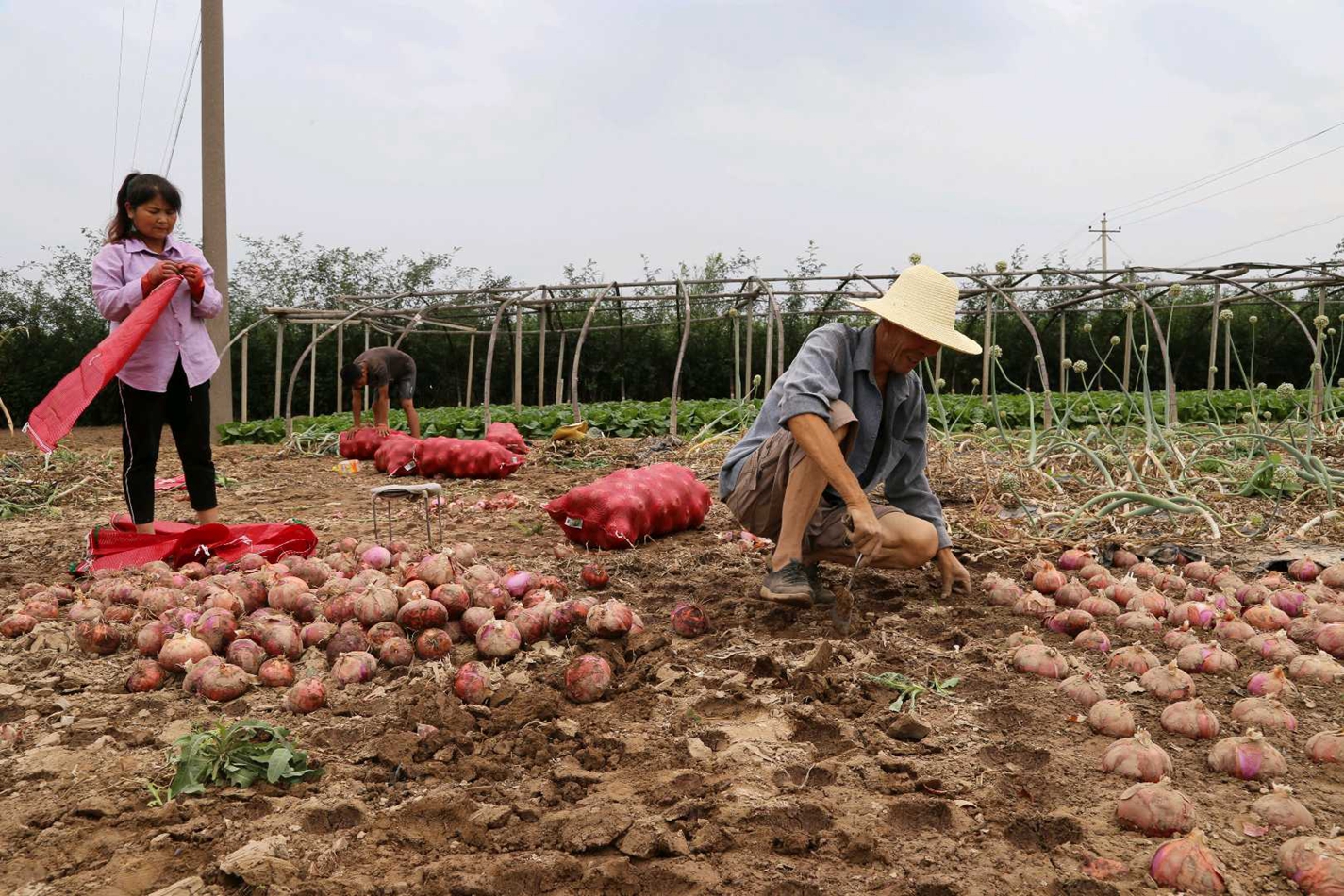 downloadjpg (24).jpg