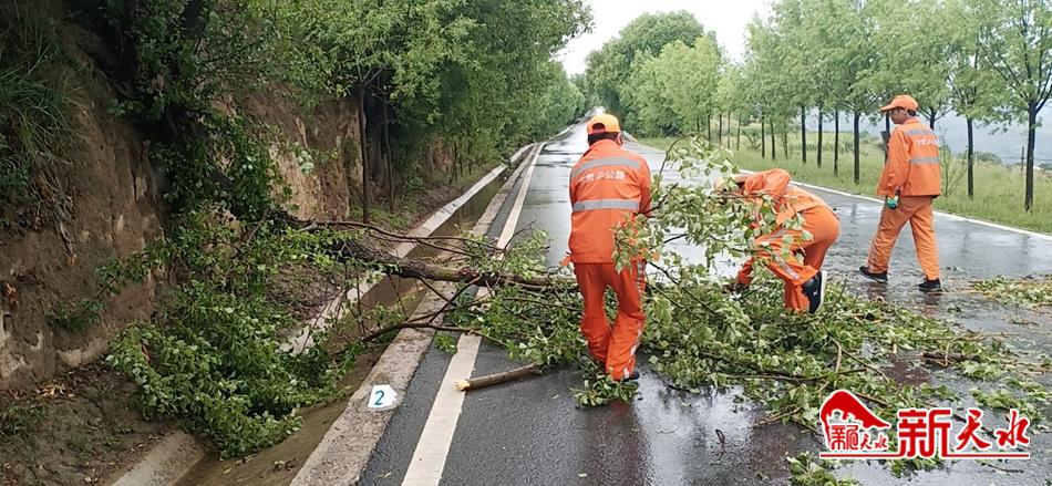 downloadjpg (42).jpg