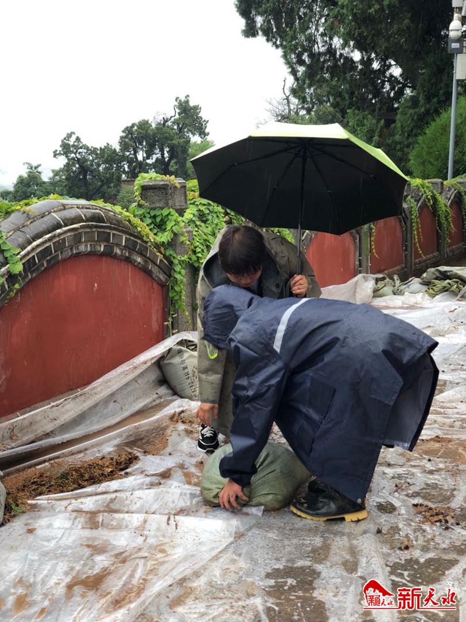 downloadjpg (44).jpg