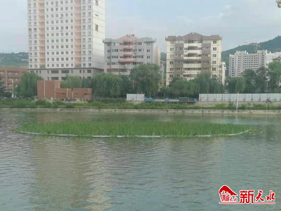 downloadjpg (68).jpg downloadjpg (68).jpg