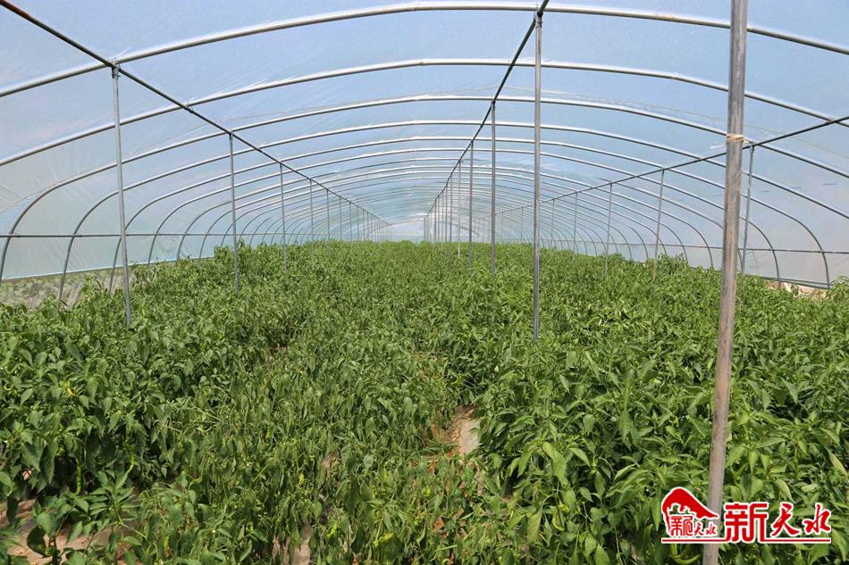 downloadjpg (62).jpg