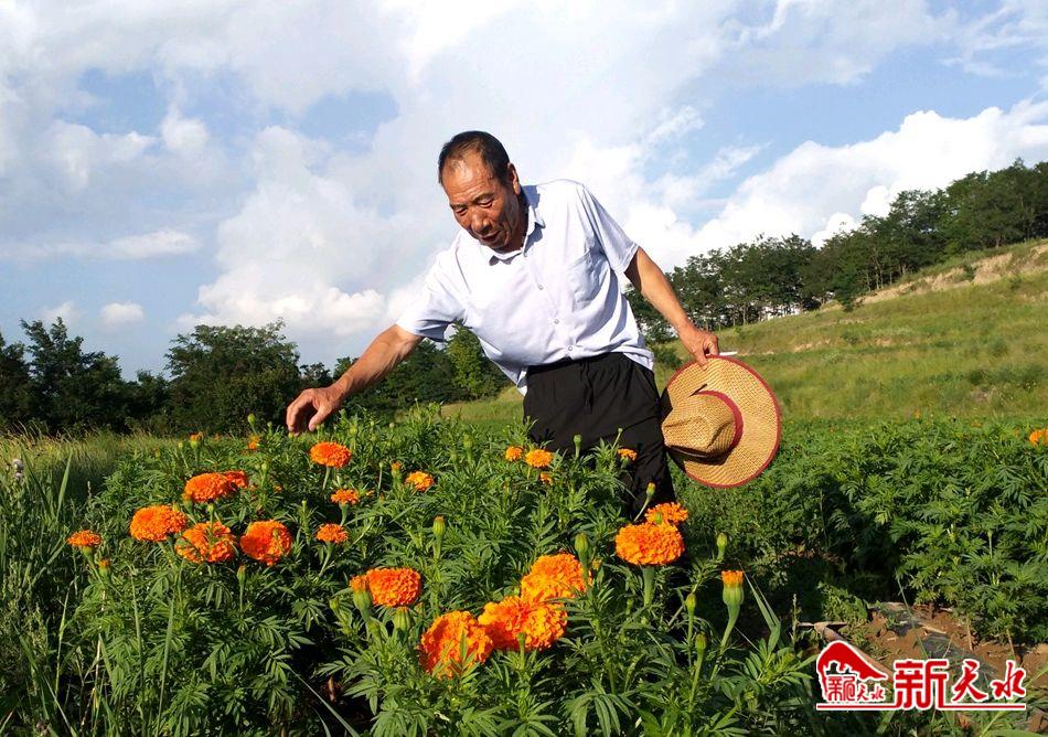 downloadjpg (47).jpg