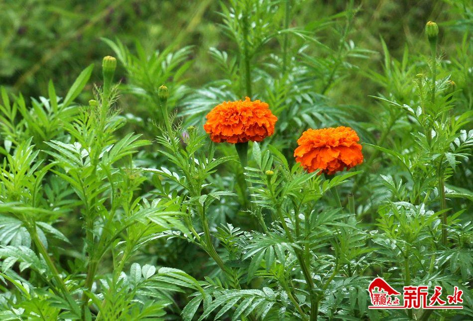 downloadjpg (48).jpg