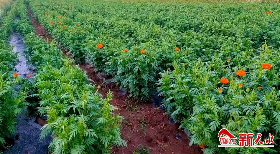 downloadjpg (46).jpg