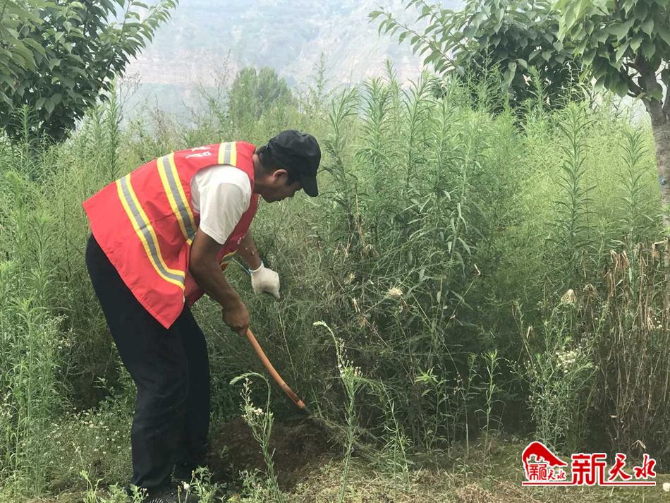 downloadjpg (66).jpg