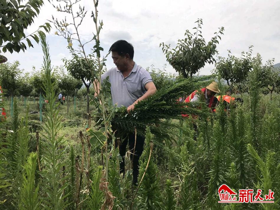 downloadjpg (64).jpg