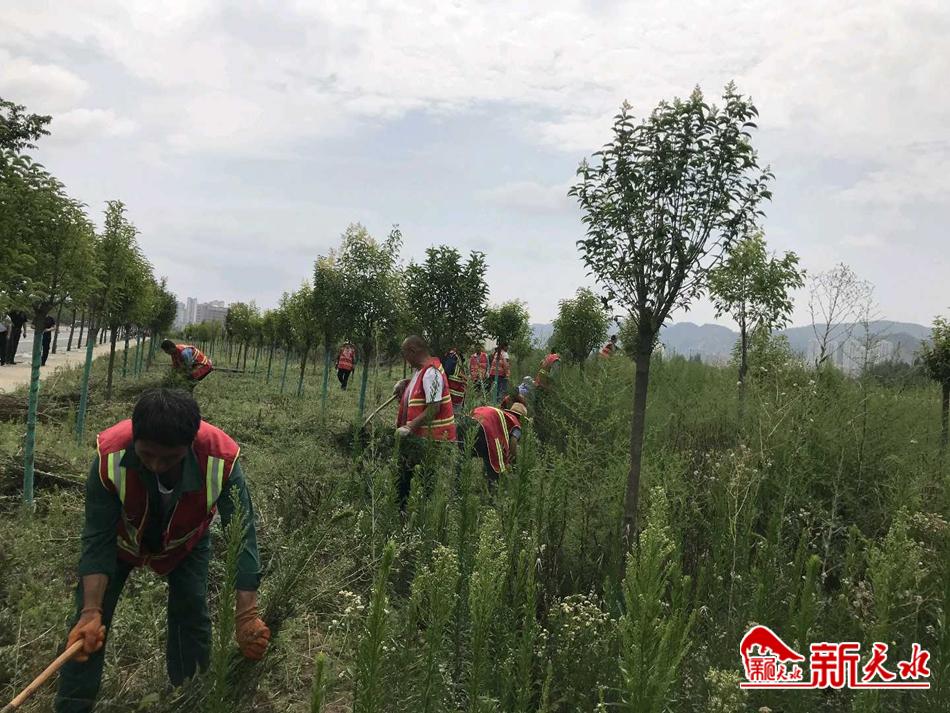 downloadjpg (63).jpg