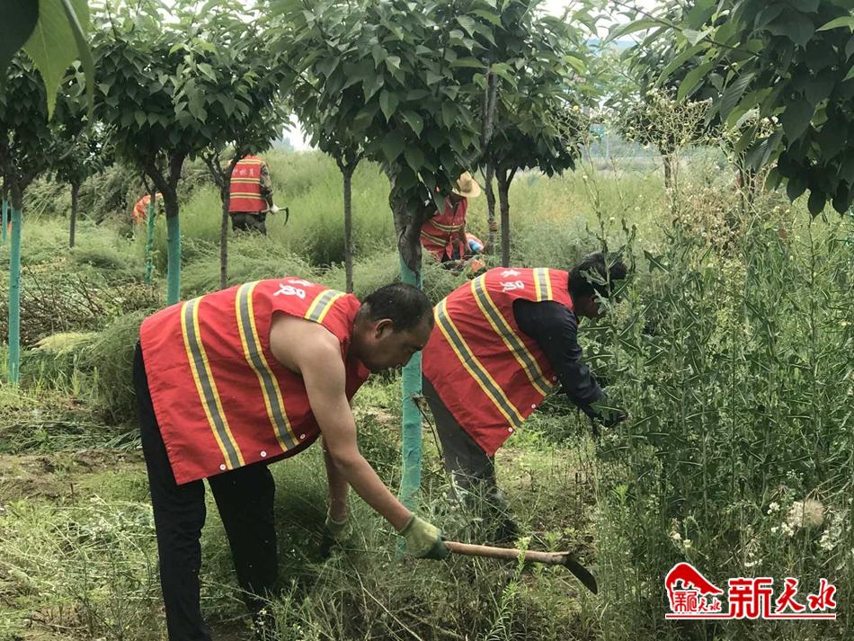 downloadjpg (65).jpg