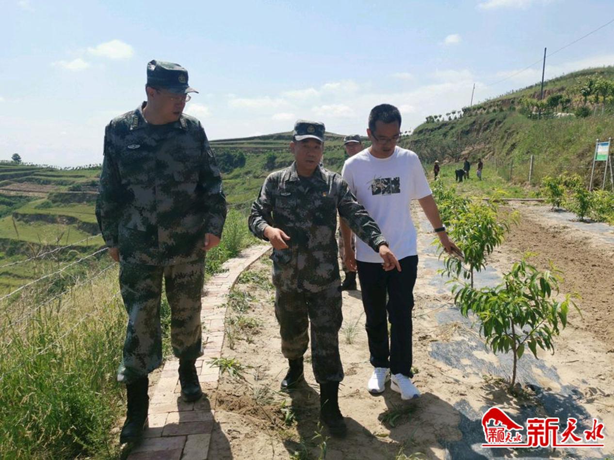 downloadjpg (75).jpg