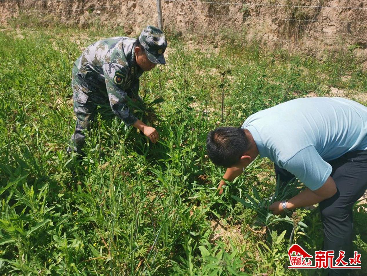 downloadjpg (70).jpg