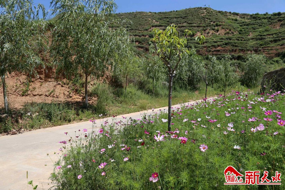 downloadjpg (14).jpg