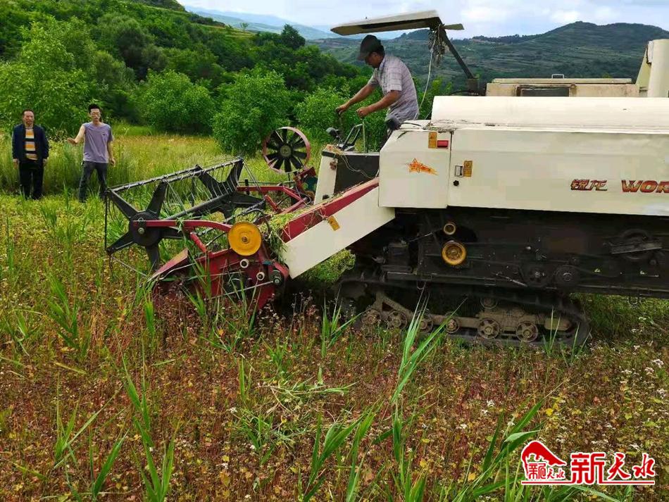 downloadjpg (32).jpg