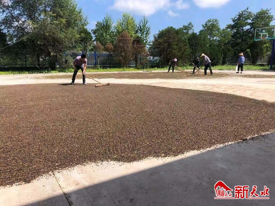 downloadjpg (37).jpg