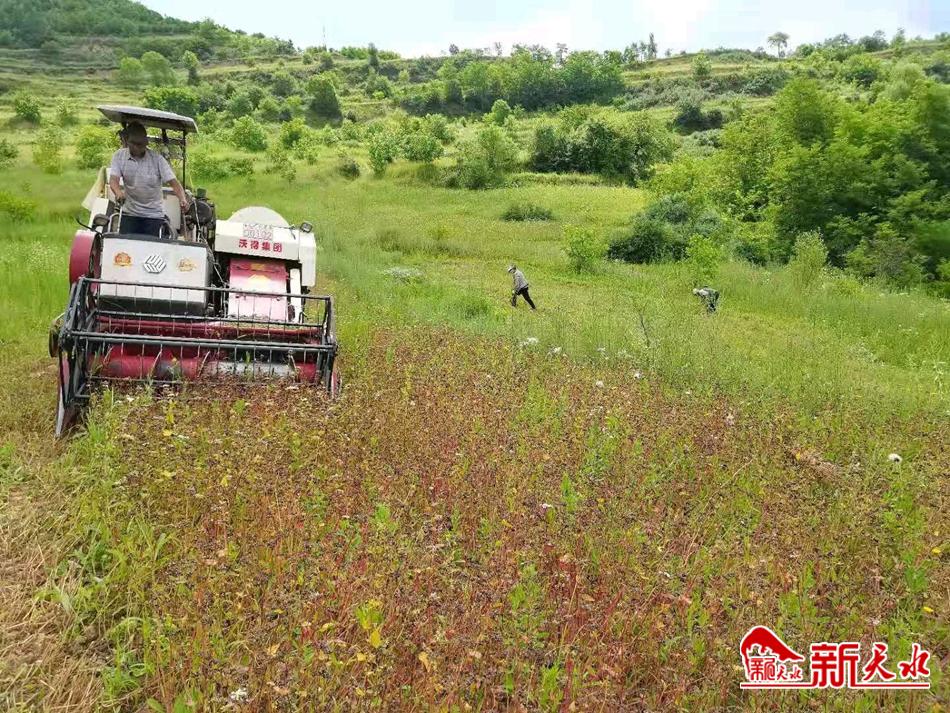 downloadjpg (39).jpg