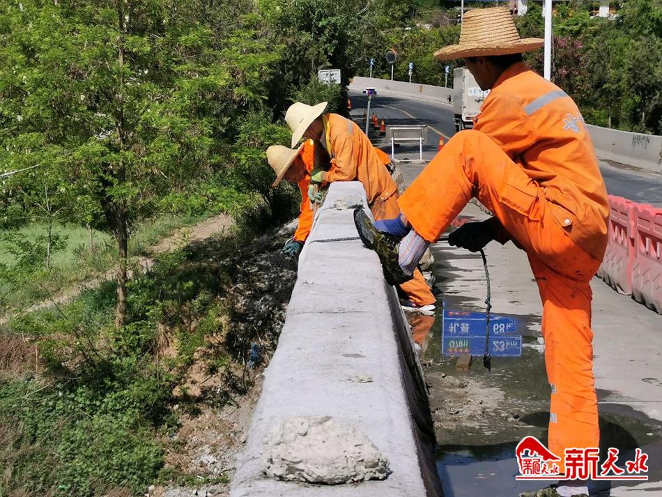 downloadjpg (44).jpg