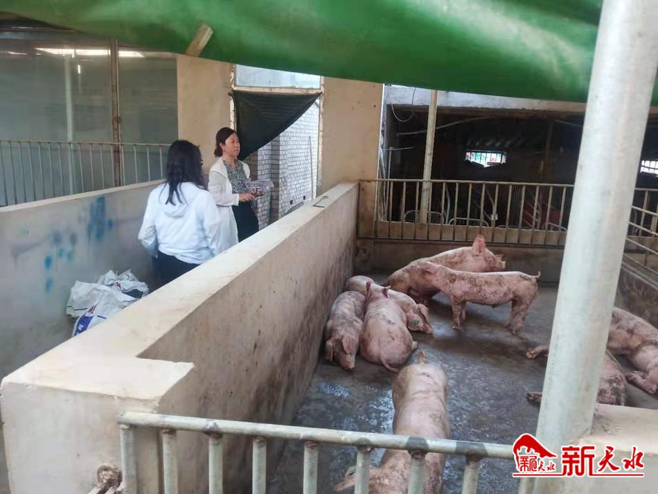 downloadjpg (54).jpg