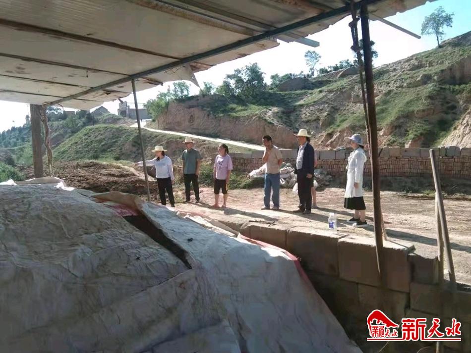 downloadjpg (53).jpg